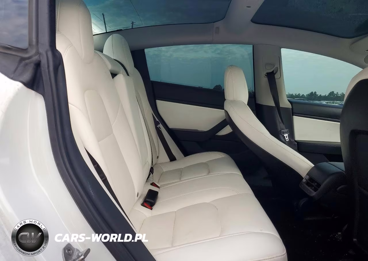 2020 Tesla Model 3 VIN:5YJ3E1EA3LF717665 - 10