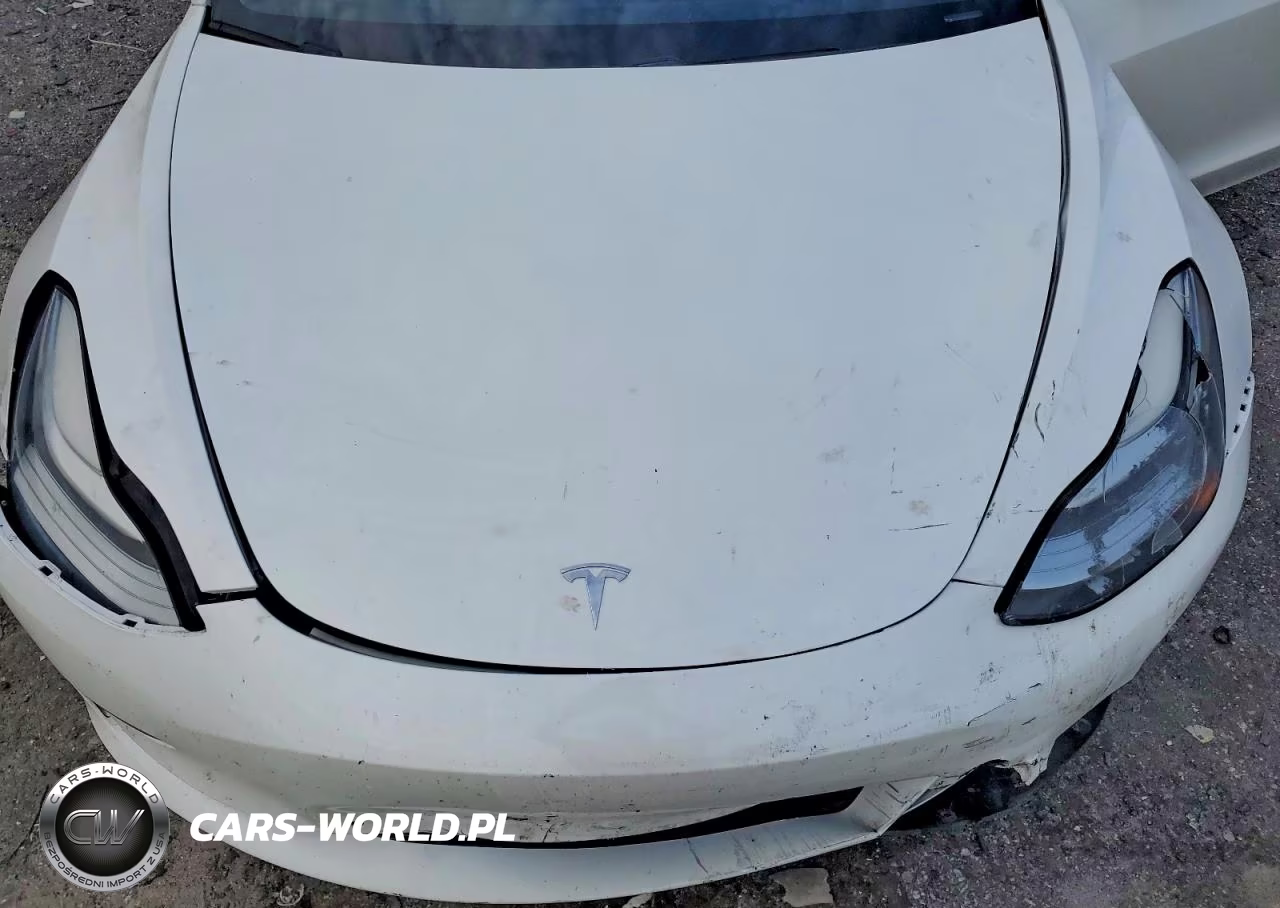 2020 Tesla Model 3 VIN:5YJ3E1EA3LF717665 - 11