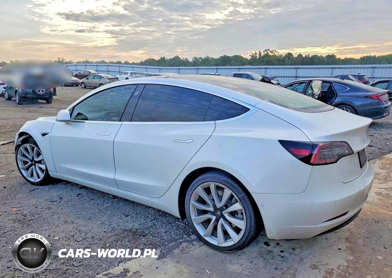 2020 Tesla Model 3 VIN:5YJ3E1EA3LF717665 - 2