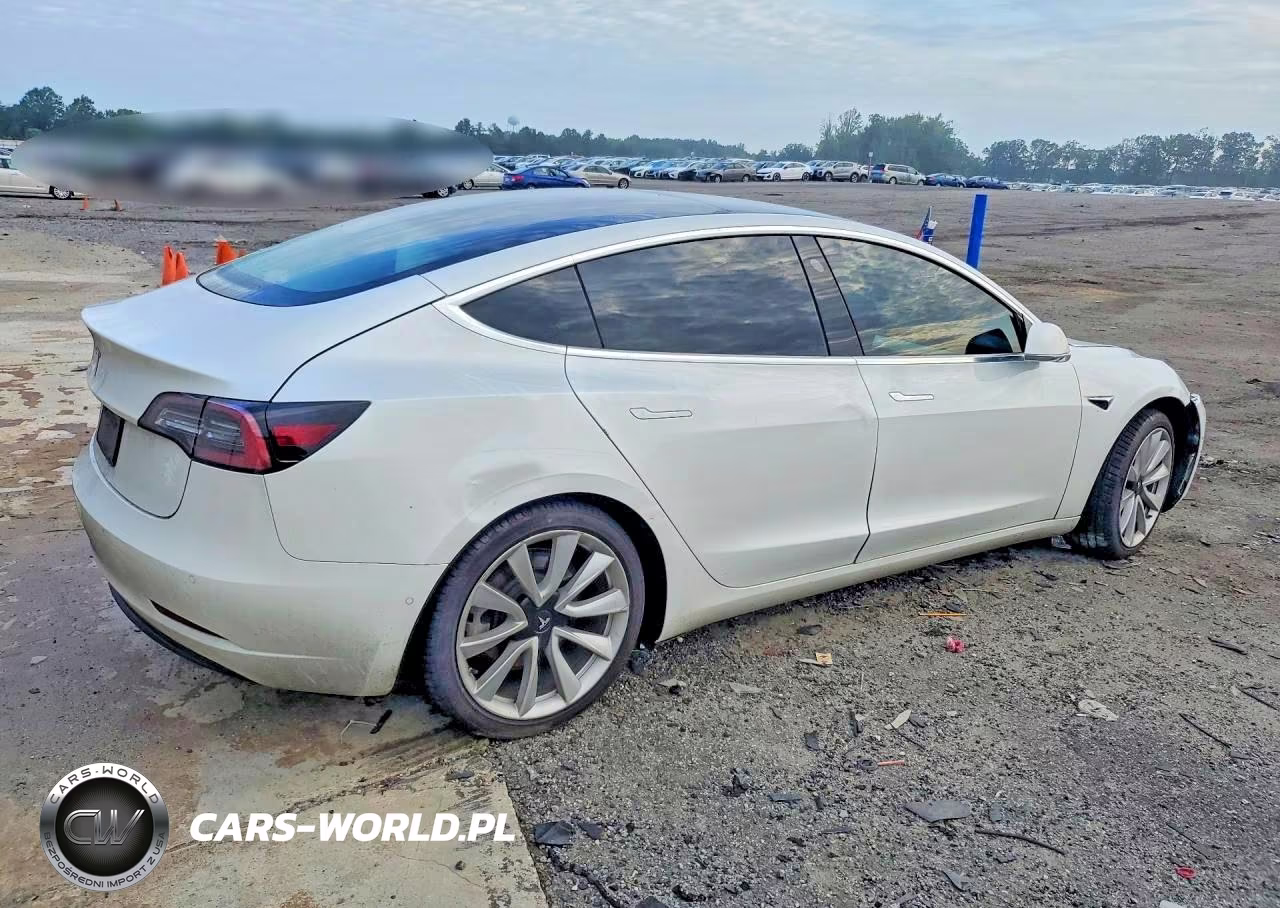 2020 Tesla Model 3 VIN:5YJ3E1EA3LF717665 - 3