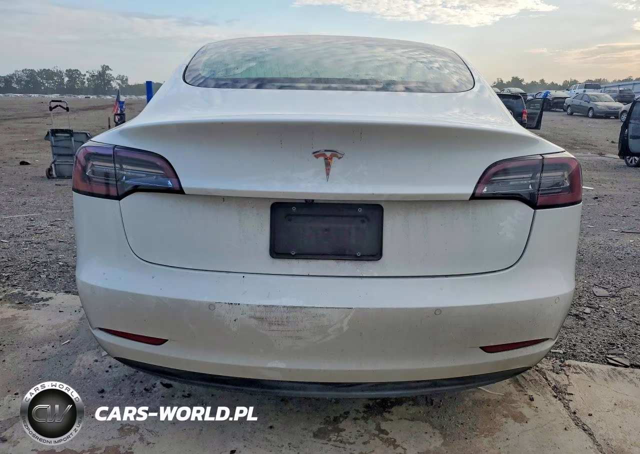 2020 Tesla Model 3 VIN:5YJ3E1EA3LF717665 - 6