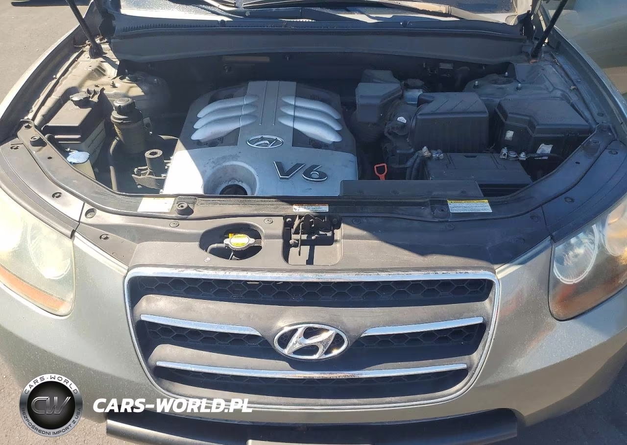 2007 Hyundai Santa Fe Se VIN:5NMSH13EX7H024041 - 11