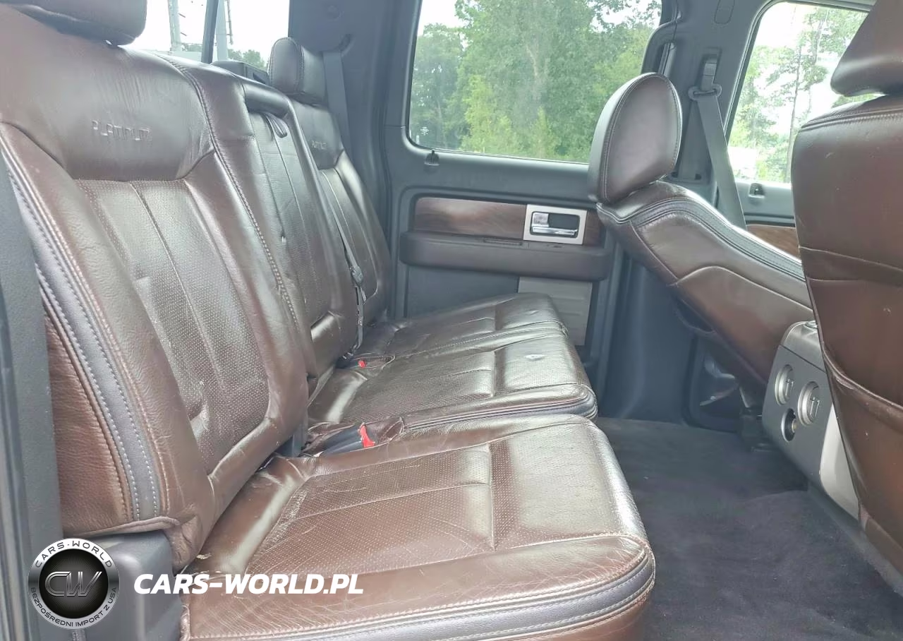 2009 Ford F150 Supercrew VIN:1FTPW14V09FA72559 - 10