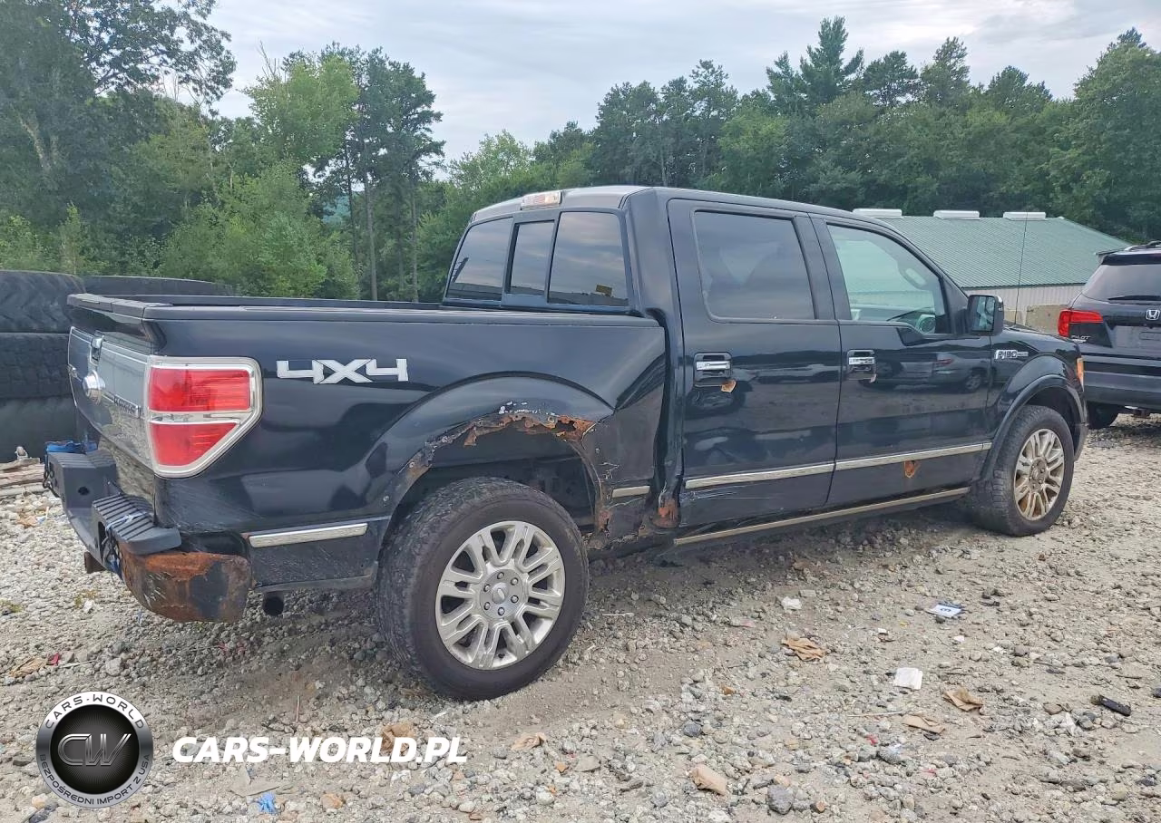 2009 Ford F150 Supercrew VIN:1FTPW14V09FA72559 - 3
