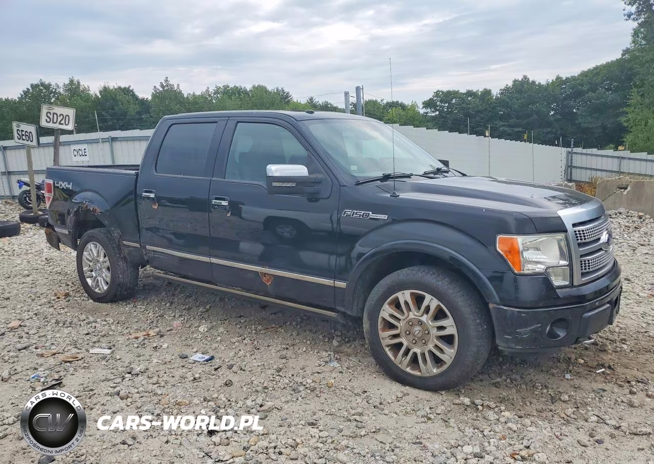 2009 Ford F150 Supercrew VIN:1FTPW14V09FA72559 - 4