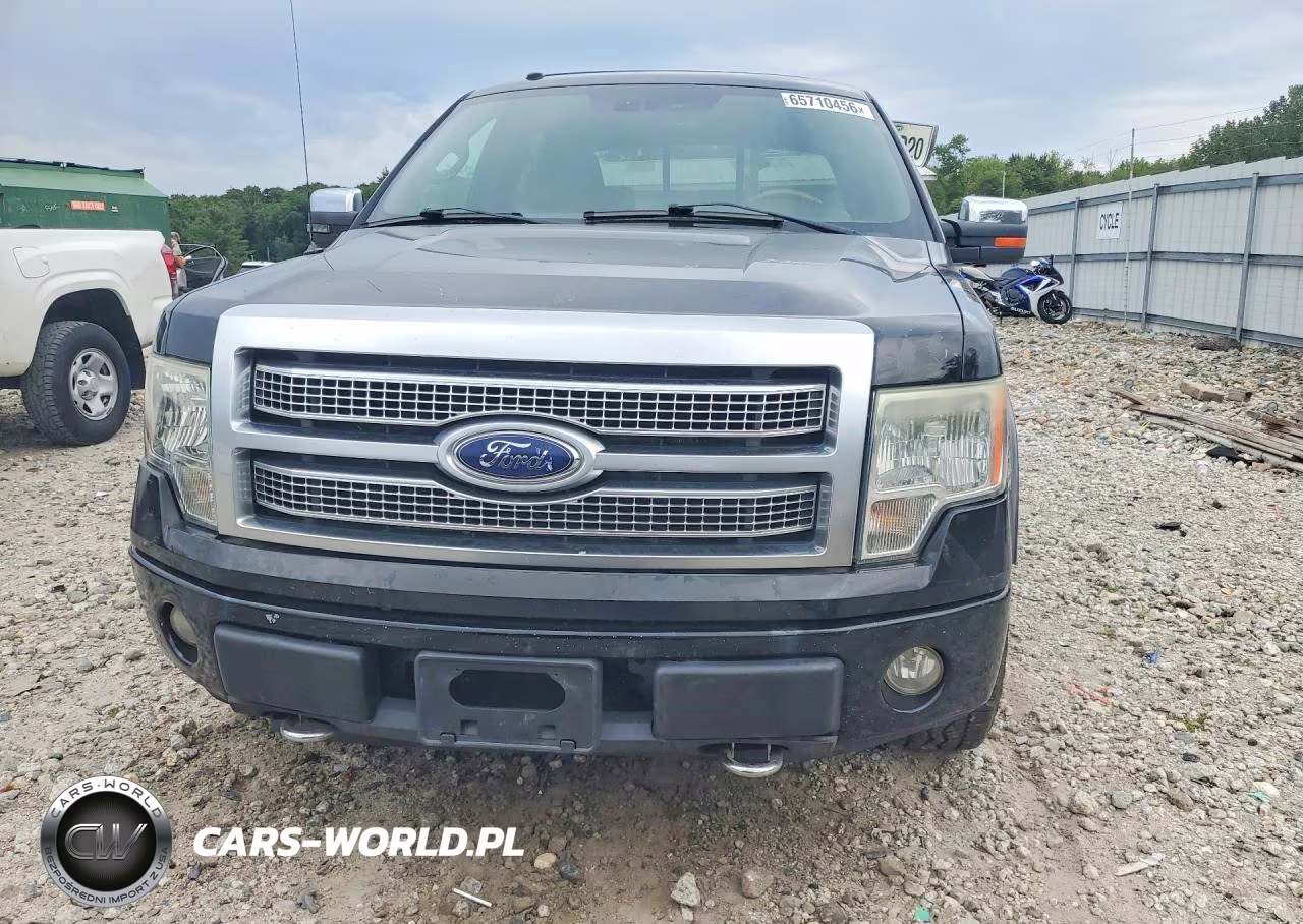 2009 Ford F150 Supercrew VIN:1FTPW14V09FA72559 - 5