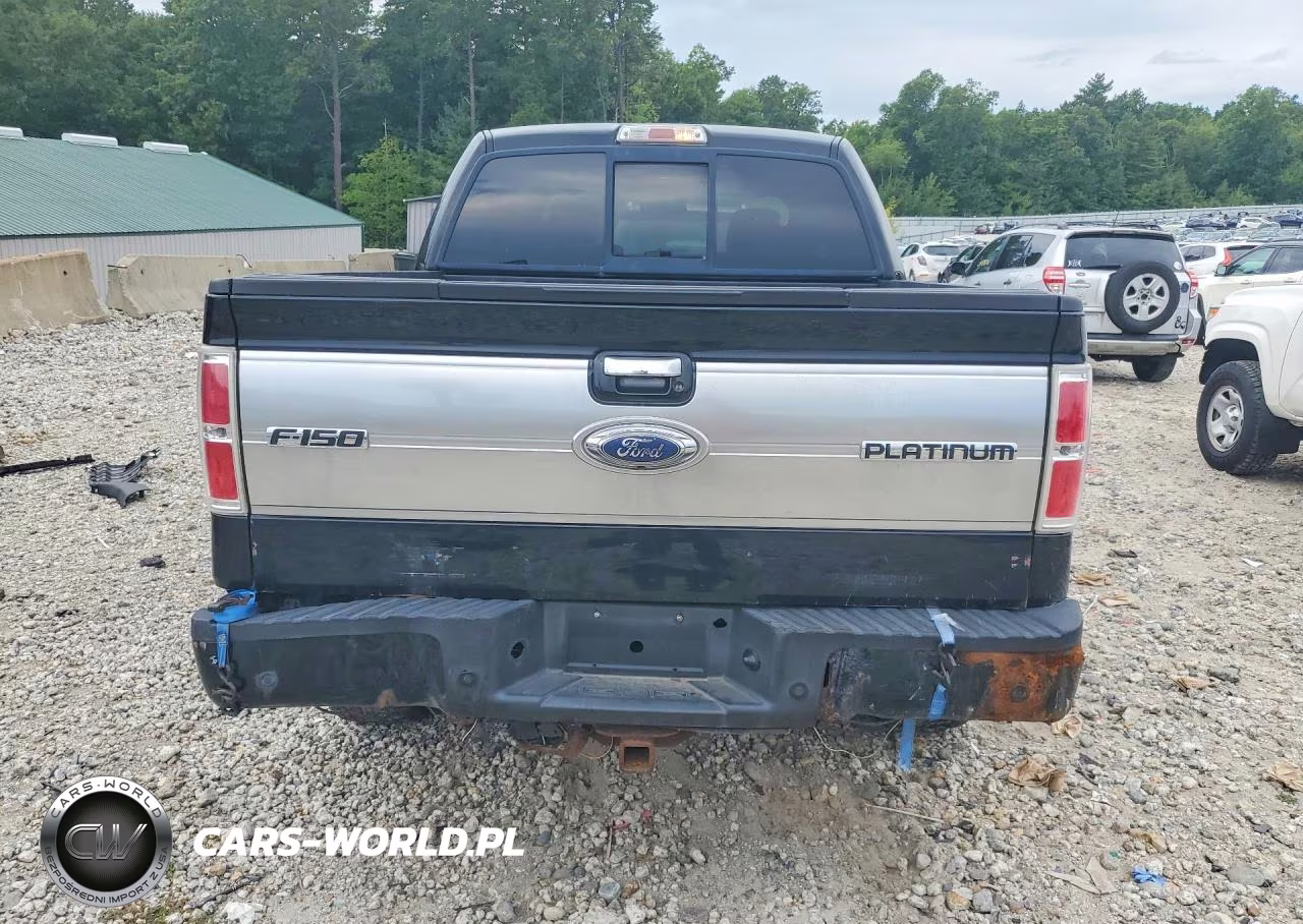 2009 Ford F150 Supercrew VIN:1FTPW14V09FA72559 - 6