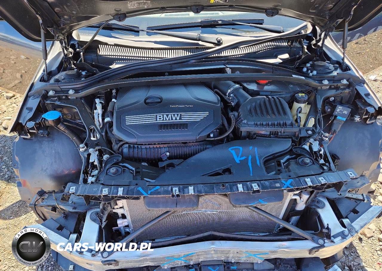 2020 BMW 228Xi VIN:WBA73AK00L7F52229 - 11