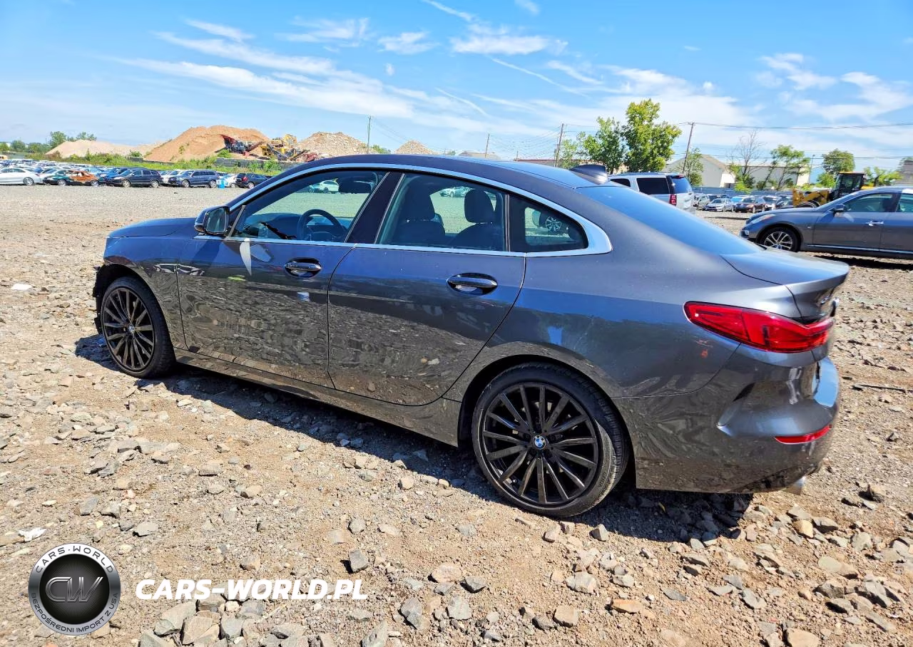 2020 BMW 228Xi VIN:WBA73AK00L7F52229 - 2