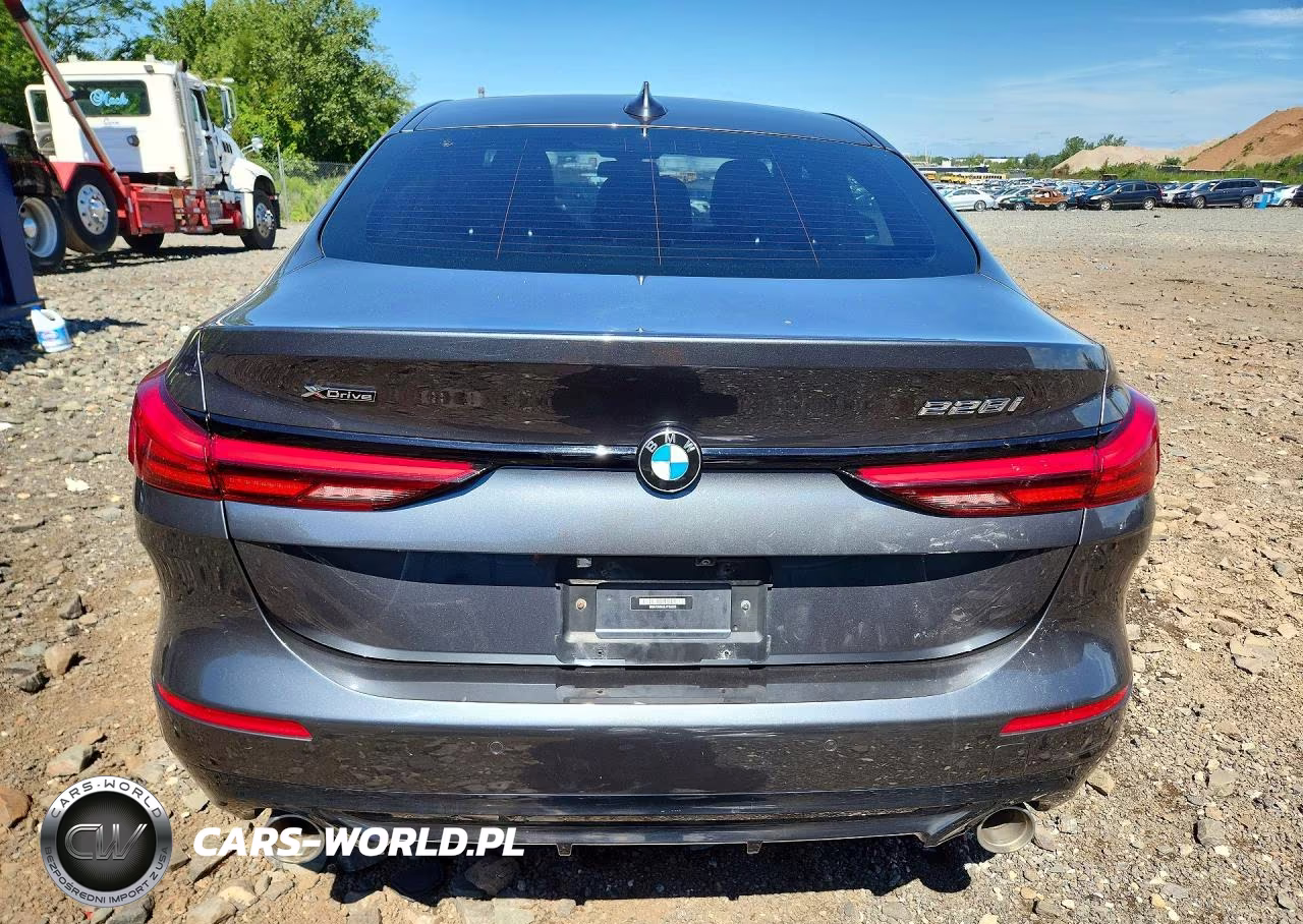 2020 BMW 228Xi VIN:WBA73AK00L7F52229 - 6