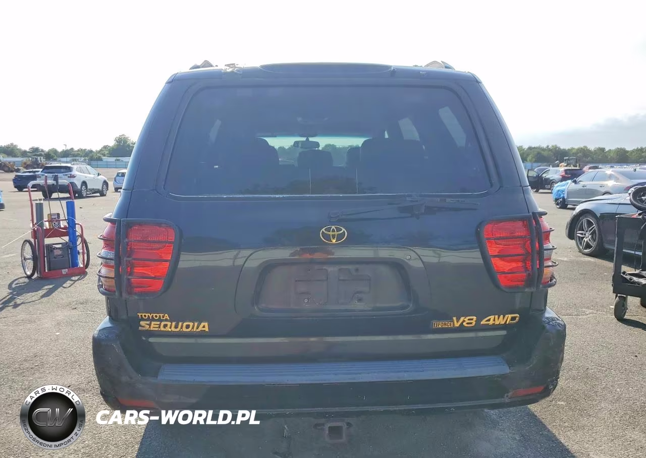 2004 Toyota Sequoia Limited VIN:5TDBT48A54S223318 - 6