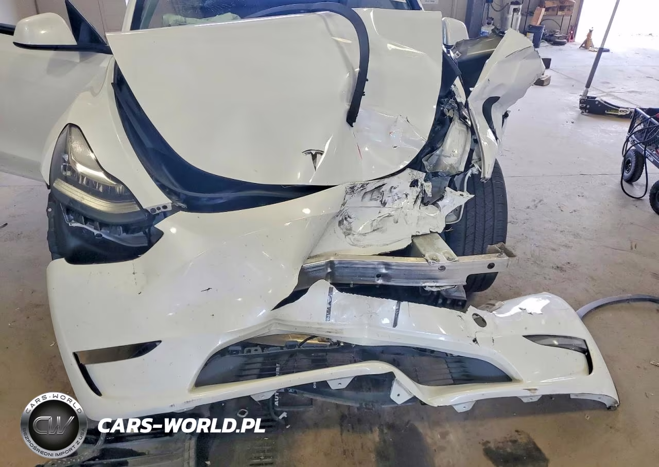 2023 Tesla Model Y VIN:7SAYGDEE3PA108389 - 11