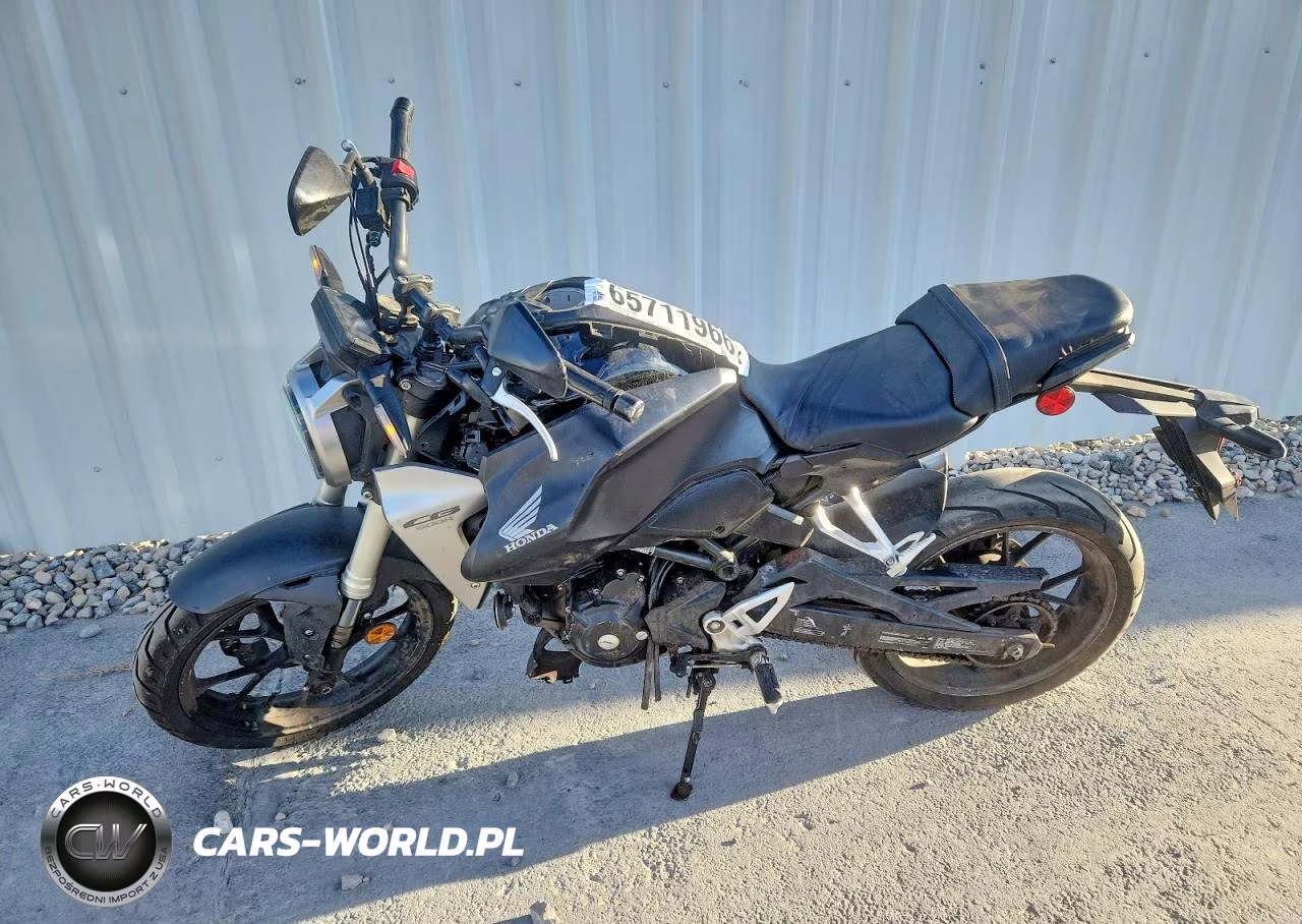 2019 Honda Cbf300 N VIN:MLHNC5507K5001376 - 3