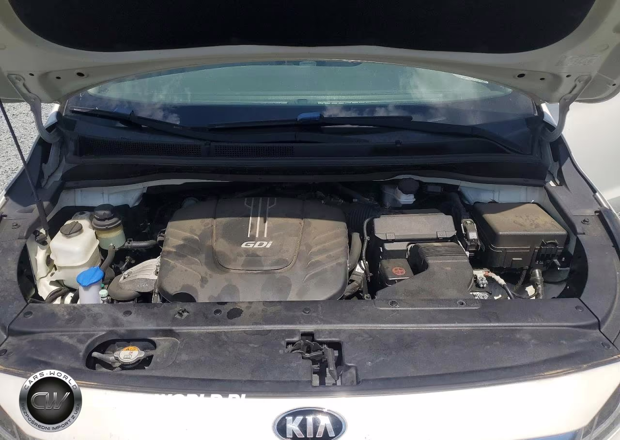 2015 Kia Sedona Lx VIN:KNDMB5C19F6059342 - 12
