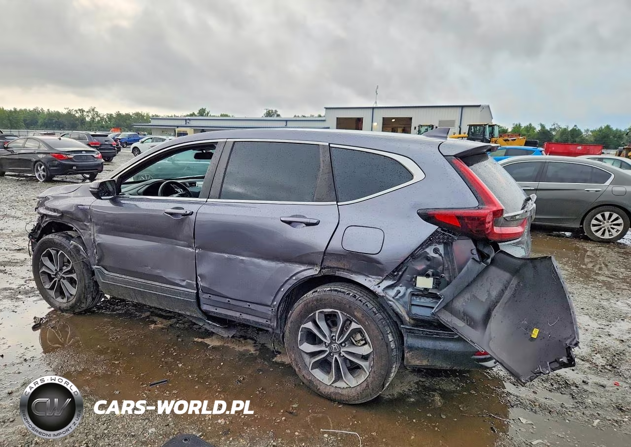 2022 Honda Cr-V Ex VIN:5J6RT6H55NL031407 - 2