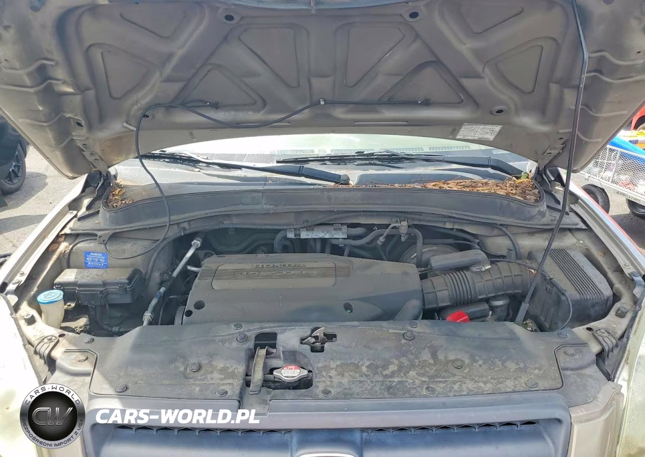 2004 Honda Pilot Ex VIN:2HKYF18464H616678 - 12