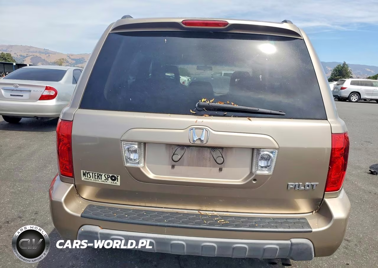 2004 Honda Pilot Ex VIN:2HKYF18464H616678 - 6
