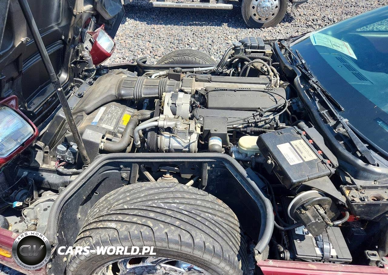 1993 Chevrolet Corvette VIN:1G1YY23P8P5103897 - 11