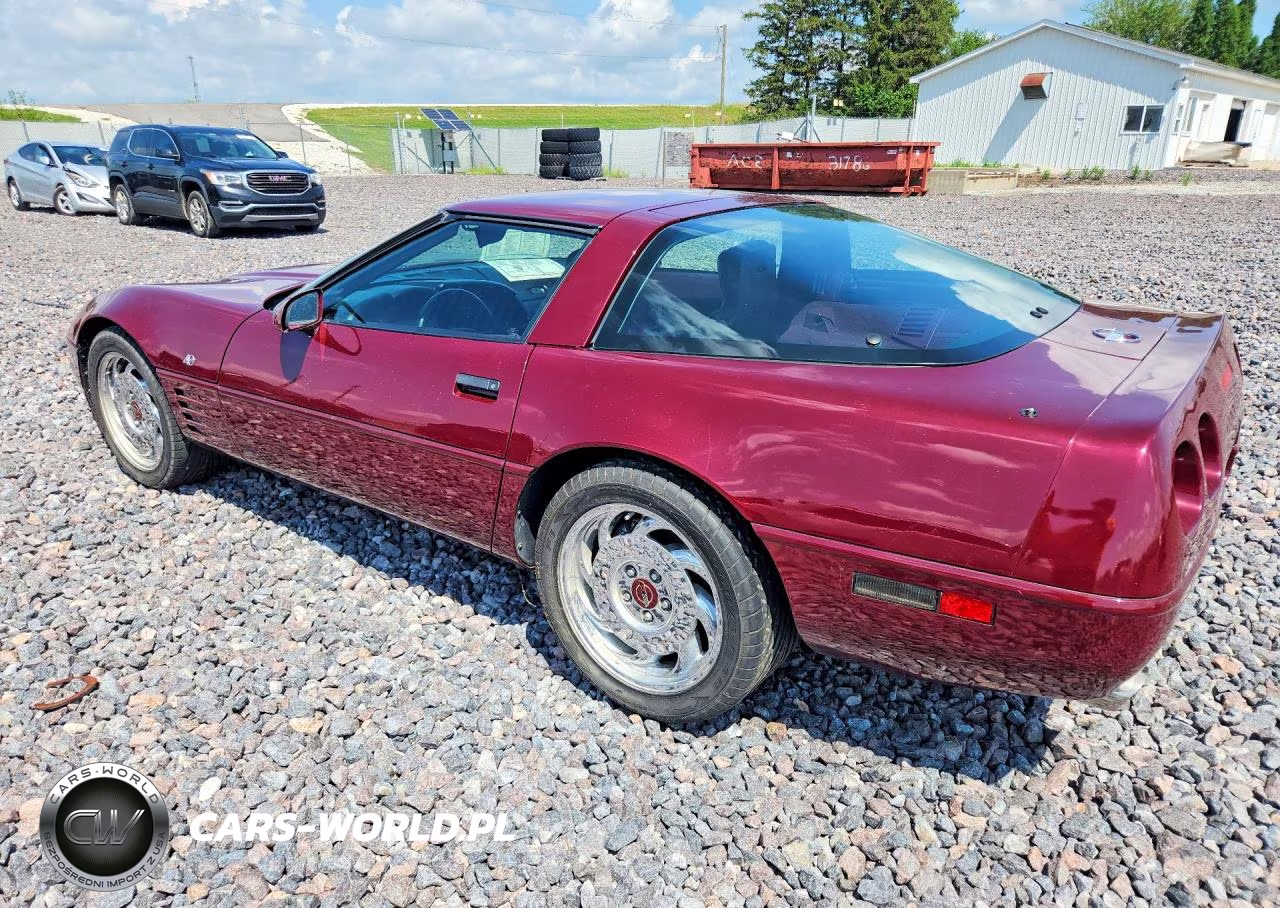 1993 Chevrolet Corvette VIN:1G1YY23P8P5103897 - 2