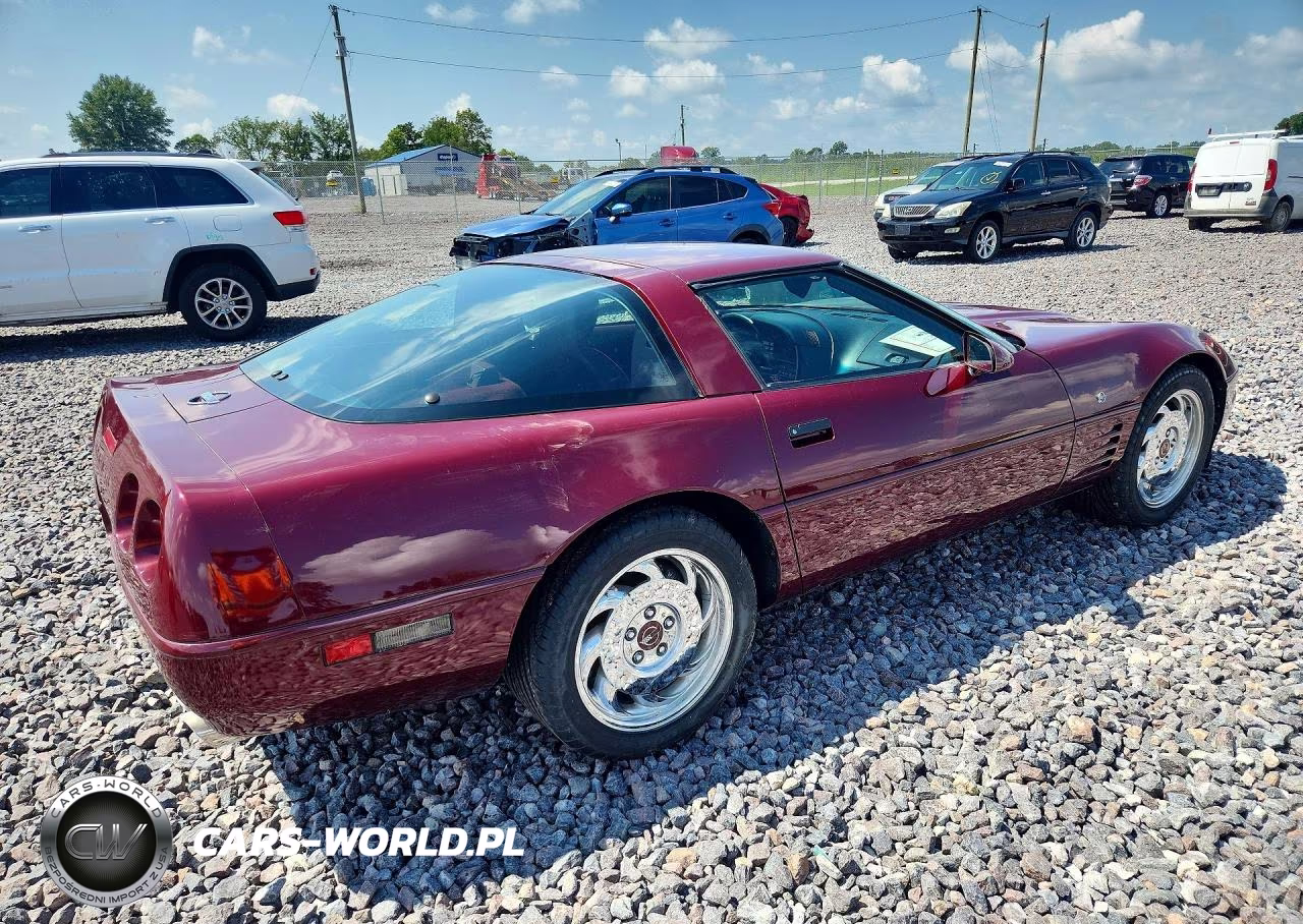 1993 Chevrolet Corvette VIN:1G1YY23P8P5103897 - 3