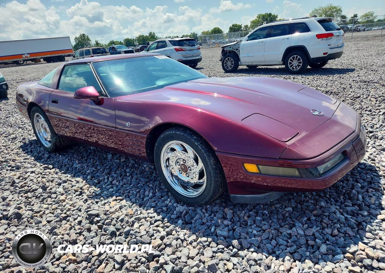 1993 Chevrolet Corvette VIN:1G1YY23P8P5103897 - 4
