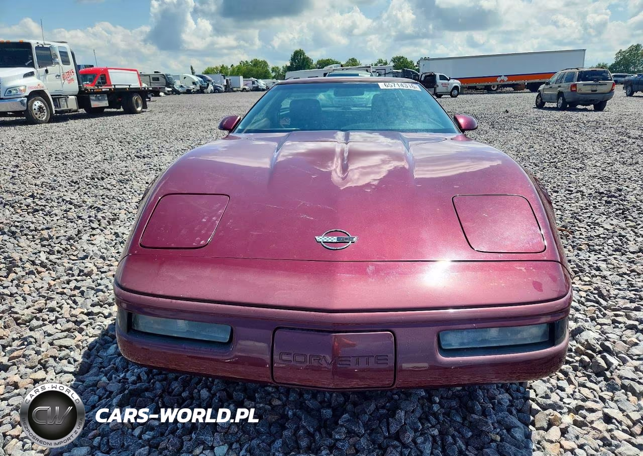 1993 Chevrolet Corvette VIN:1G1YY23P8P5103897 - 5