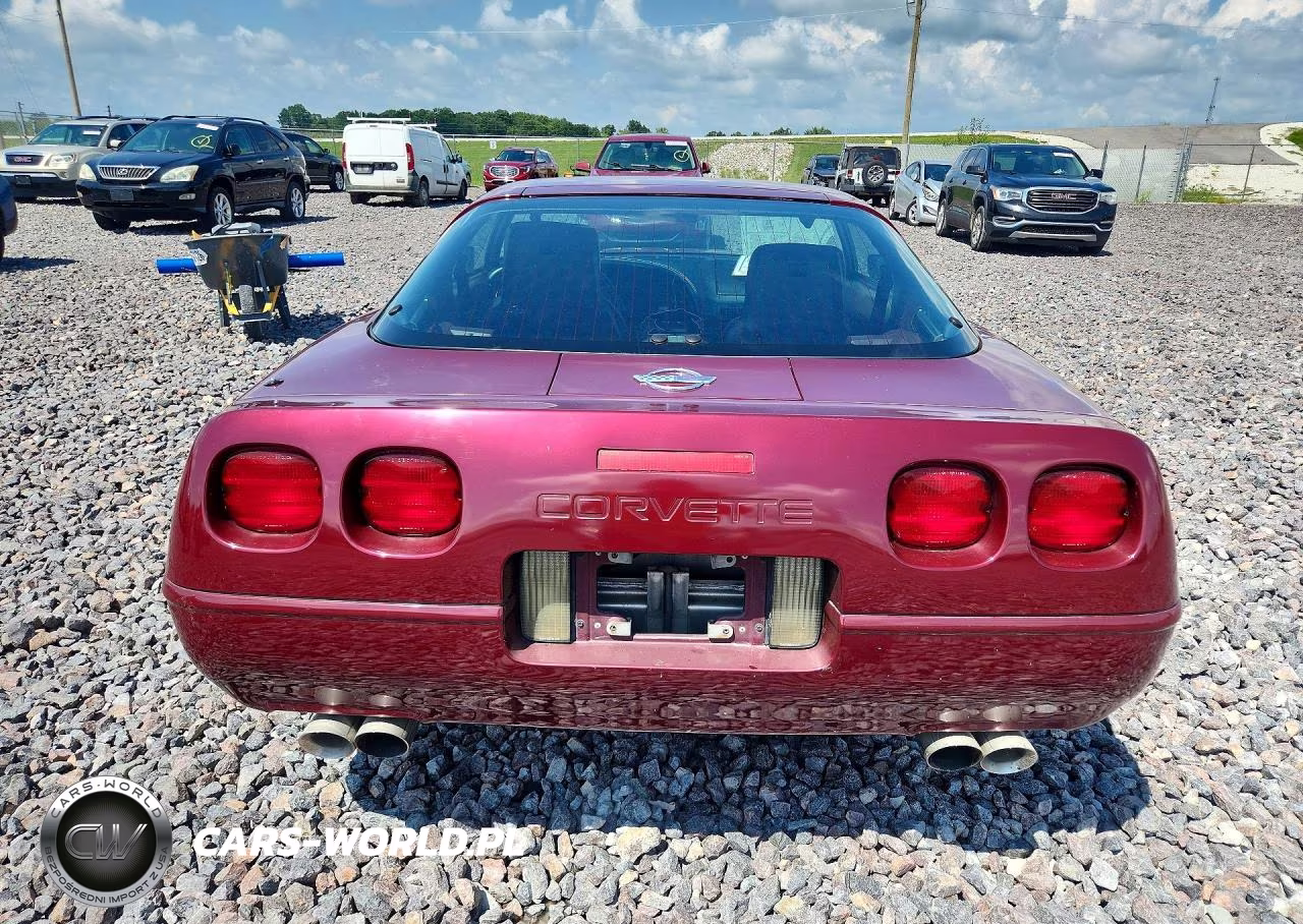 1993 Chevrolet Corvette VIN:1G1YY23P8P5103897 - 6