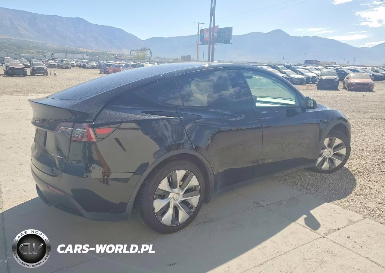 2023 Tesla Model Y VIN:7SAYGAEE6PF873579 - 3