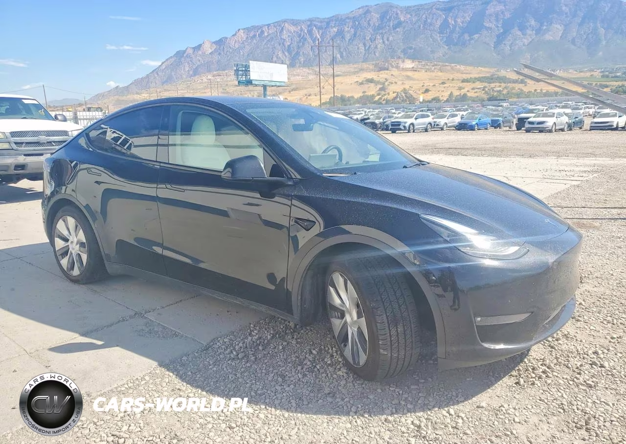 2023 Tesla Model Y VIN:7SAYGAEE6PF873579 - 4
