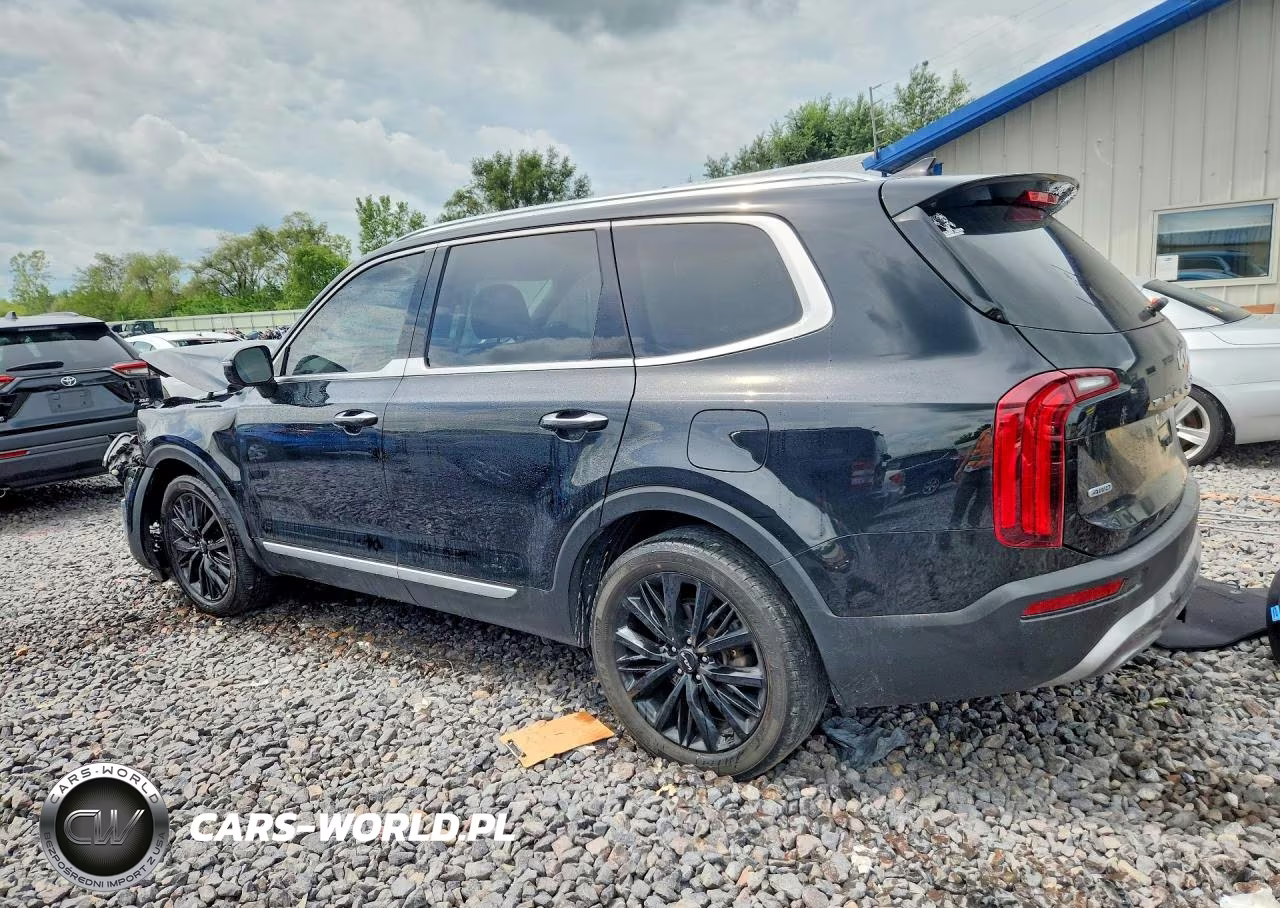 2022 Kia Telluride Sx VIN:5XYP5DHC0NG319714 - 2