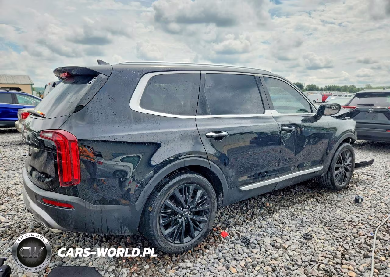 2022 Kia Telluride Sx VIN:5XYP5DHC0NG319714 - 3