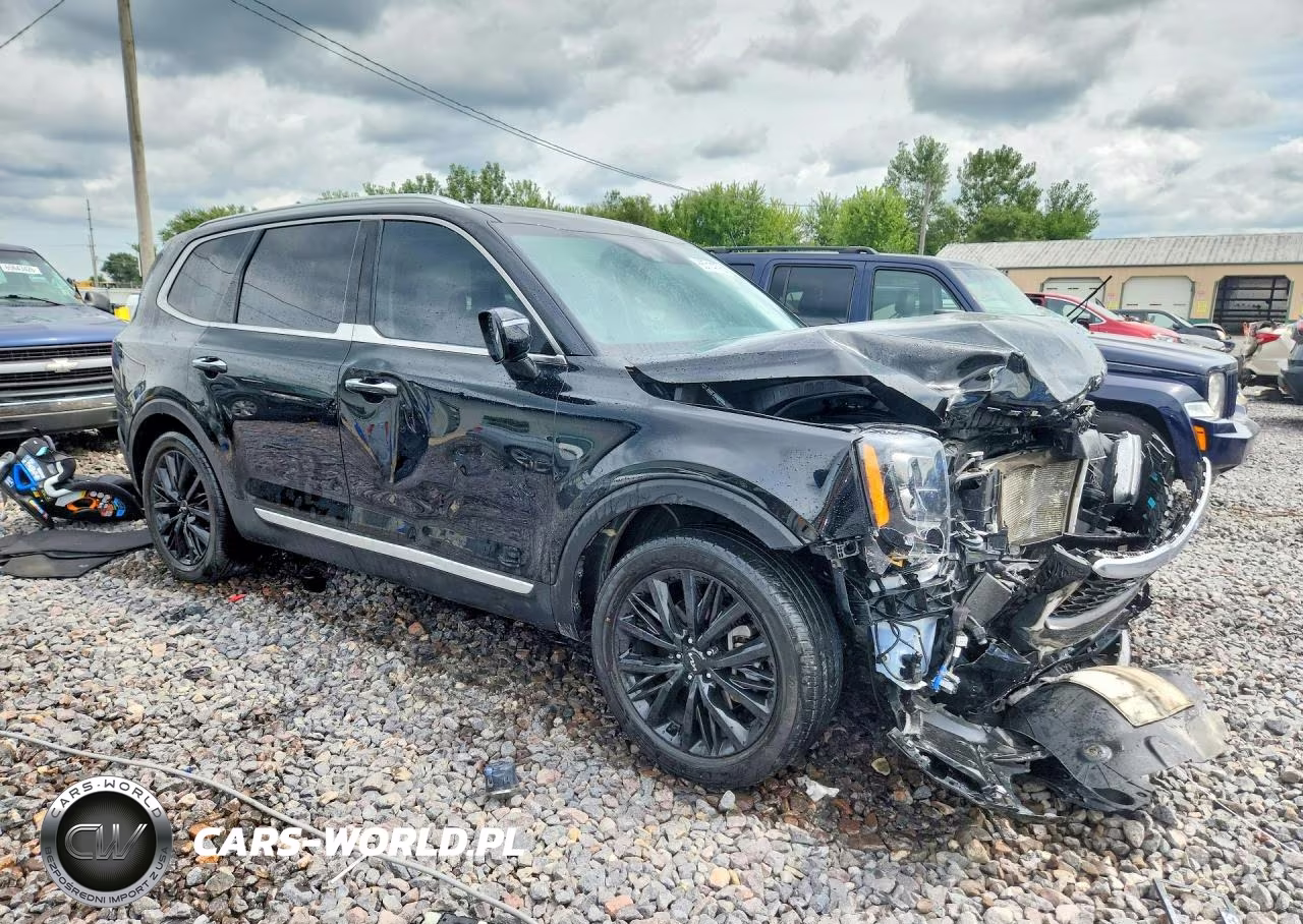 2022 Kia Telluride Sx VIN:5XYP5DHC0NG319714 - 4