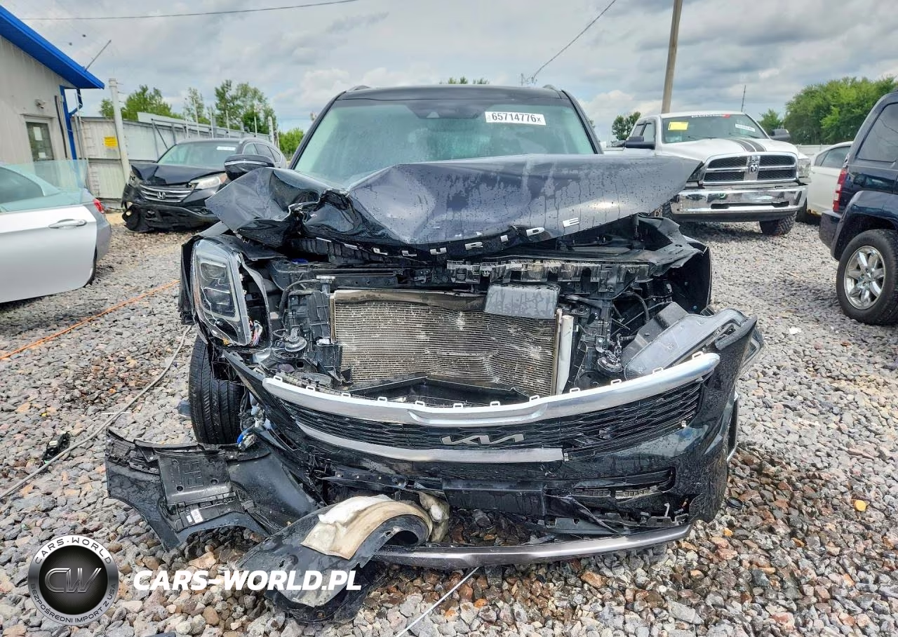 2022 Kia Telluride Sx VIN:5XYP5DHC0NG319714 - 5