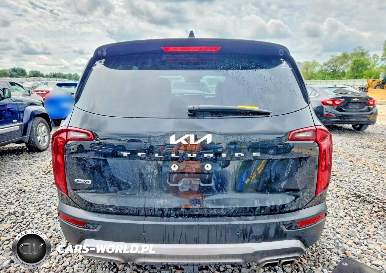 2022 Kia Telluride Sx VIN:5XYP5DHC0NG319714 - 6