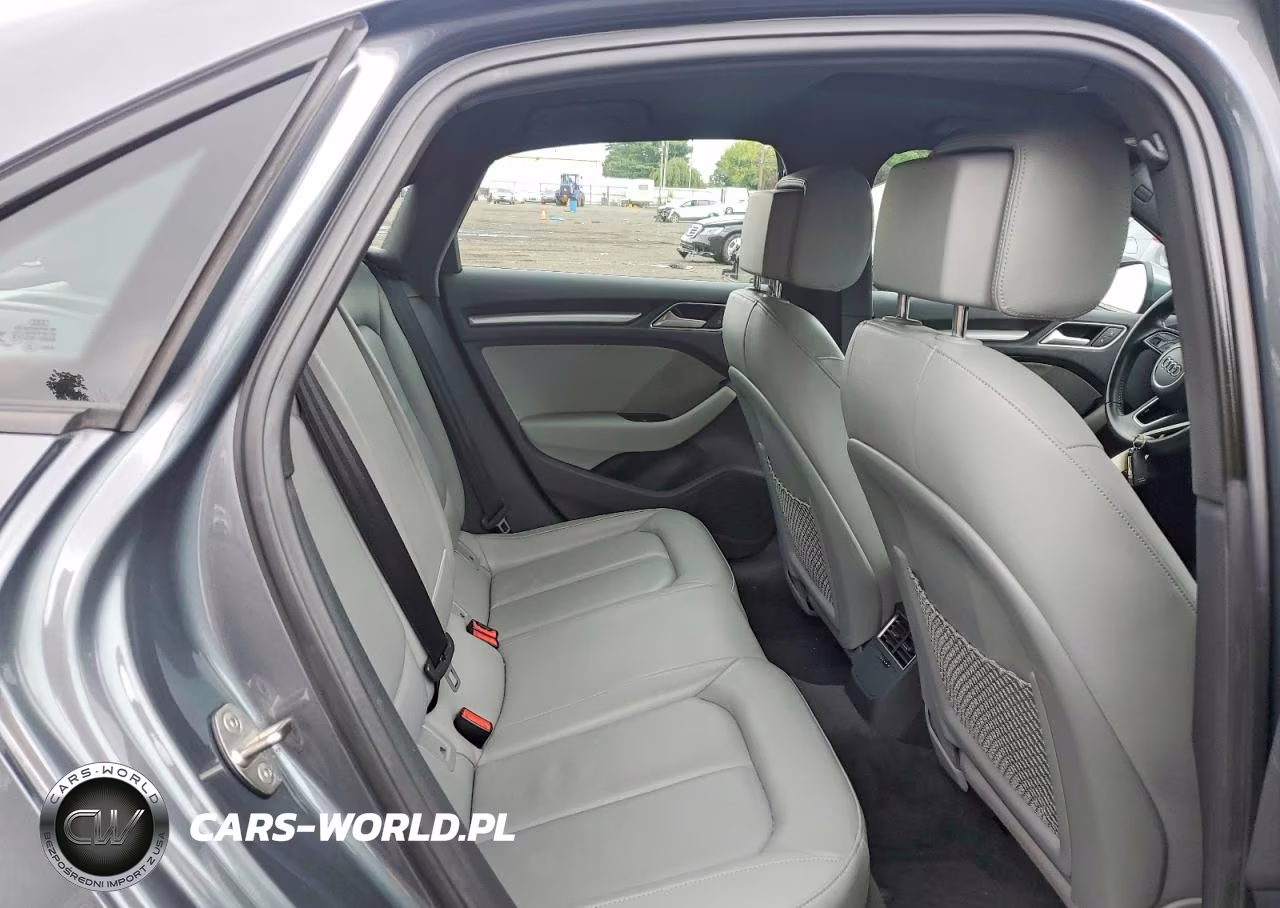 2017 Audi A3 Premium VIN:WAUB8GFF2H1052545 - 10