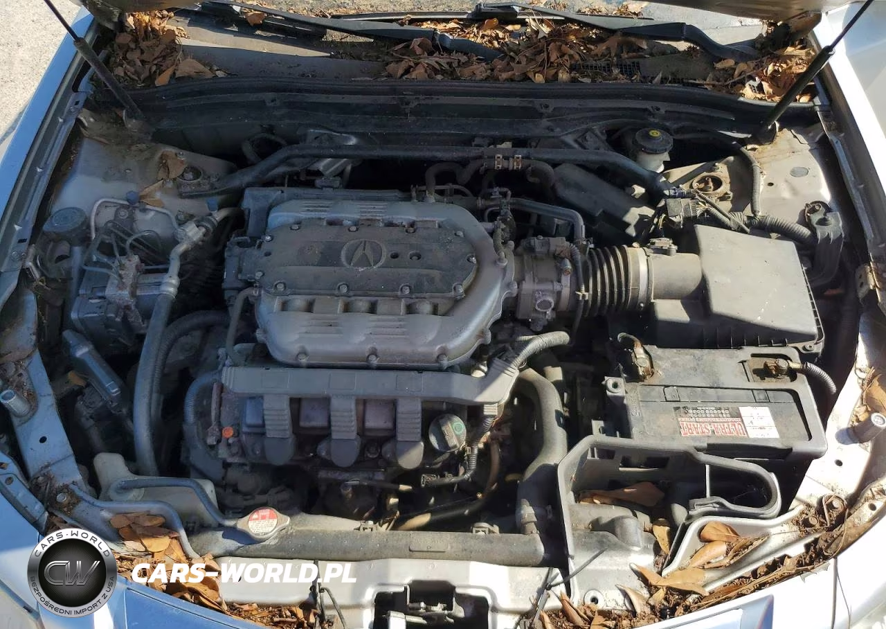 2010 Acura Tl VIN:19UUA9F51AA003346 - 11
