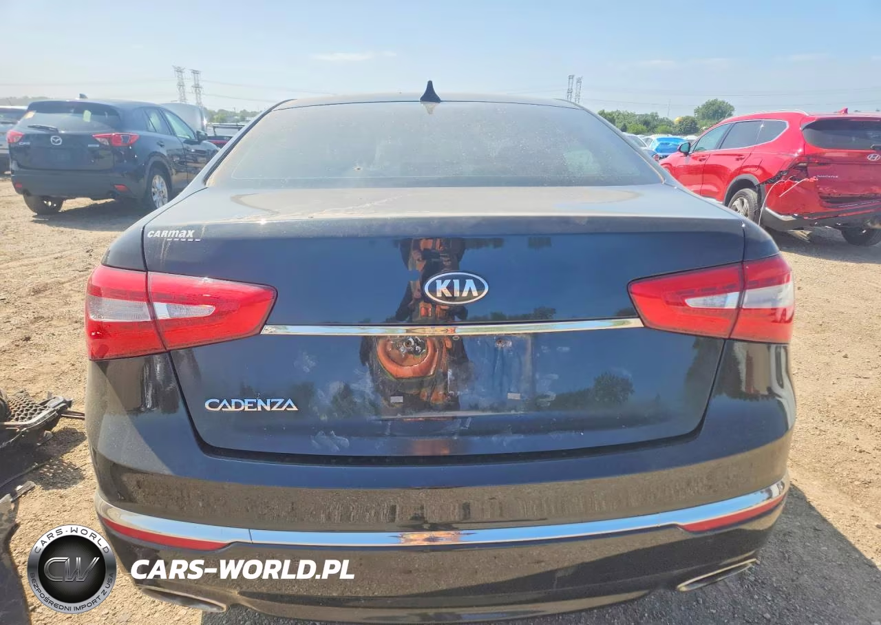2016 Kia Cadenza Luxury VIN:KNALN4D71G5214907 - 6