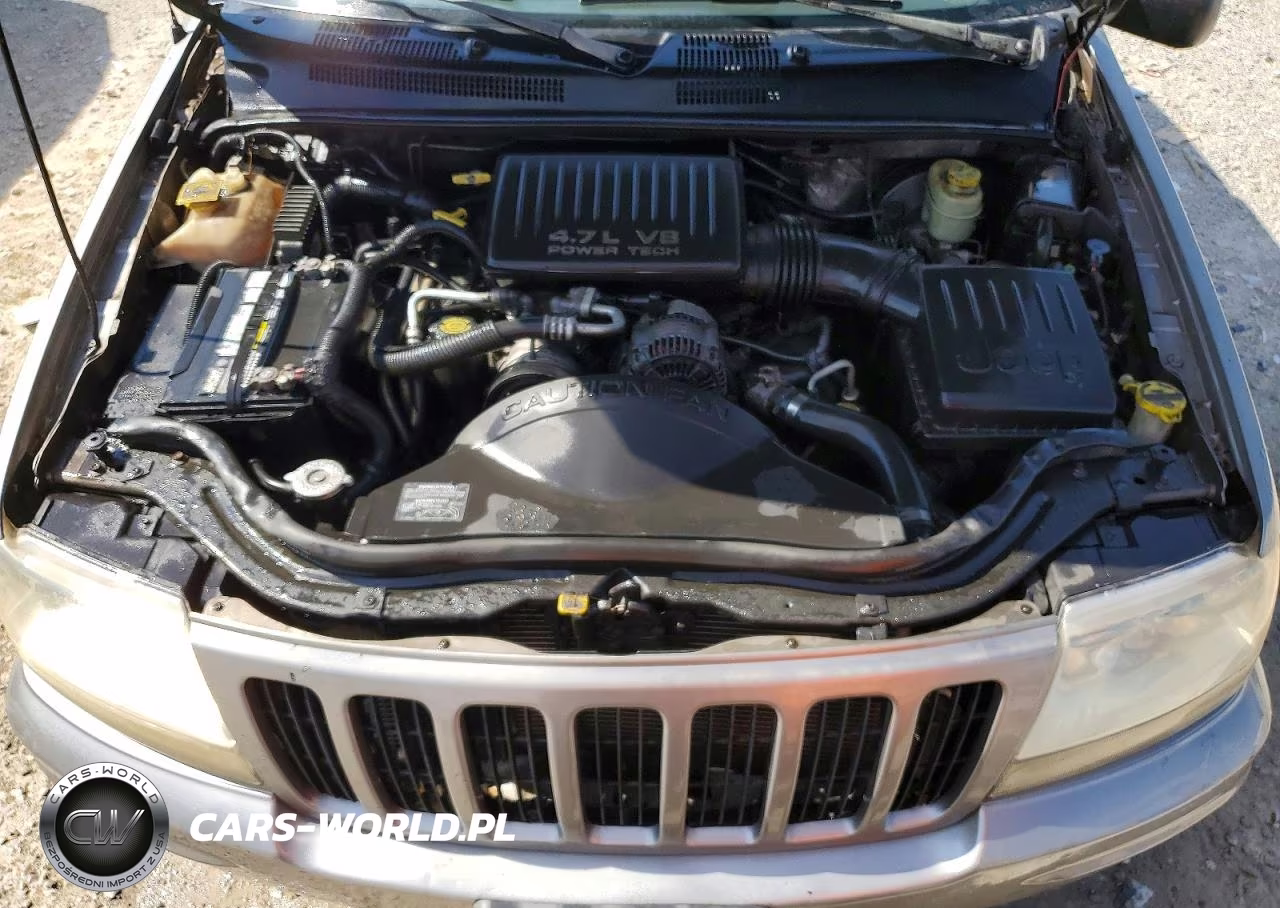 1999 Jeep Grand Cherokee Limited VIN:1J4GW68N5XC547087 - 12