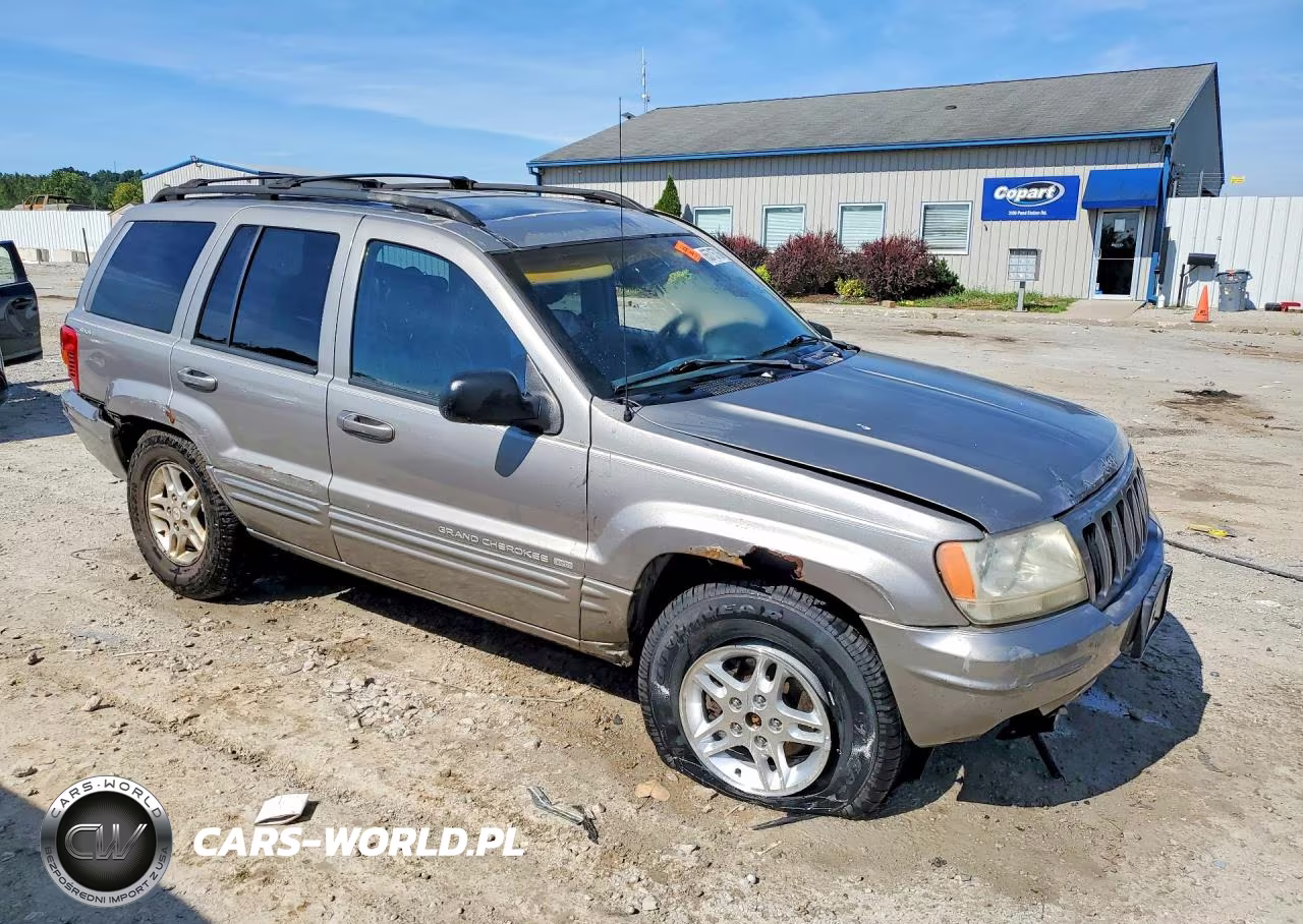 1999 Jeep Grand Cherokee Limited VIN:1J4GW68N5XC547087 - 4