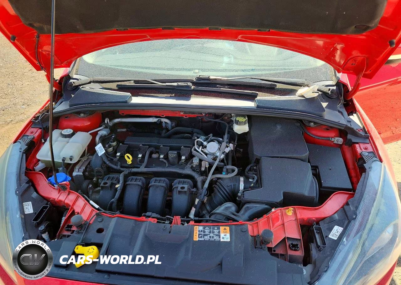 2017 Ford Focus Sel VIN:1FADP3H23HL264429 - 11