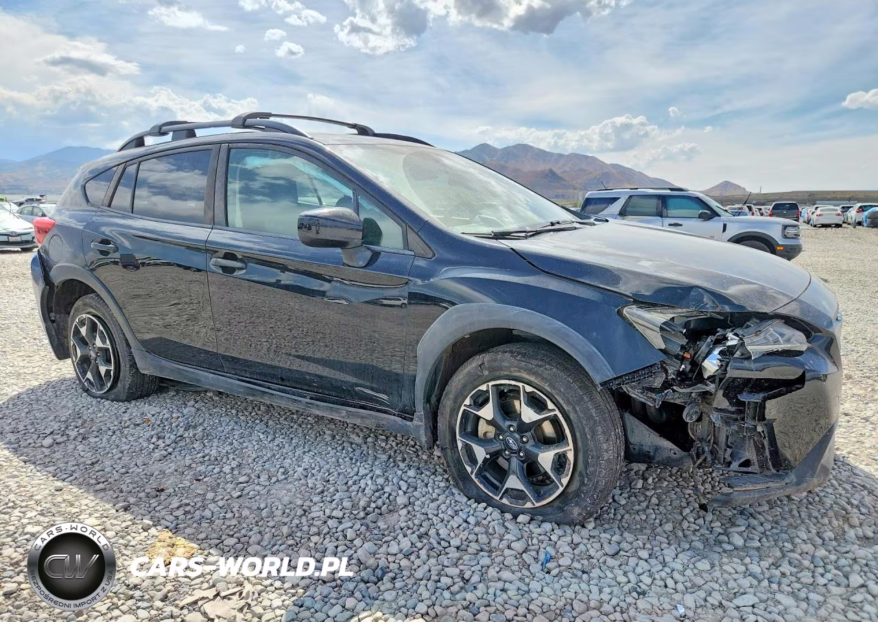 2019 Subaru Crosstrek Premium VIN:JF2GTAEC0KH391557 - 4
