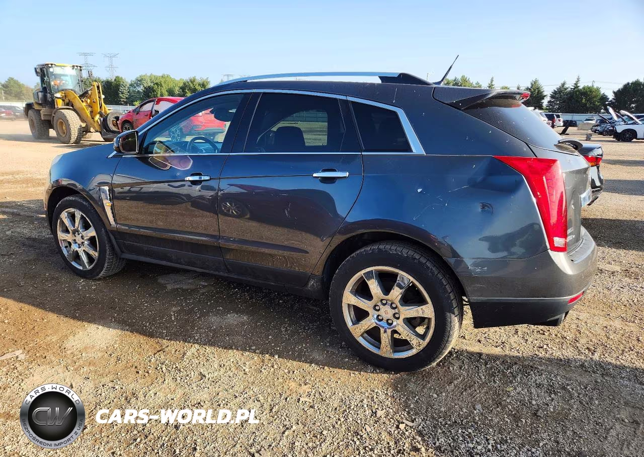 2010 Cadillac Srx Premium Collection VIN:3GYFNFEY6AS550319 - 2