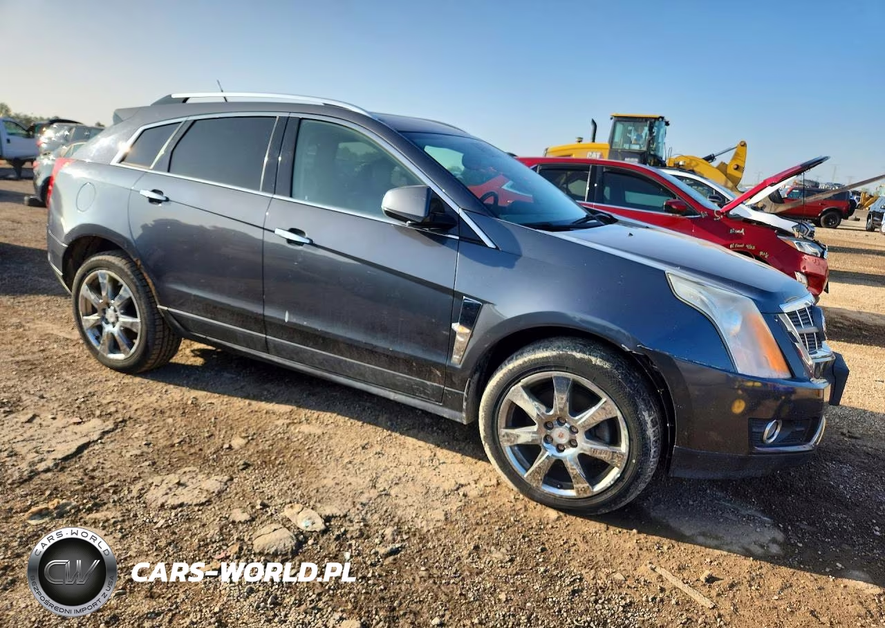 2010 Cadillac Srx Premium Collection VIN:3GYFNFEY6AS550319 - 4