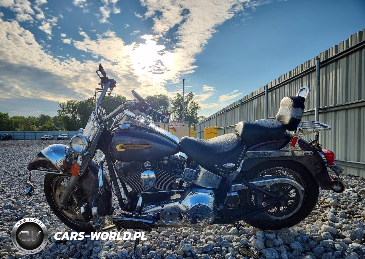 2004 Harley-Davidson Flstc VIN:1HD1BJY134Y067005 - 3