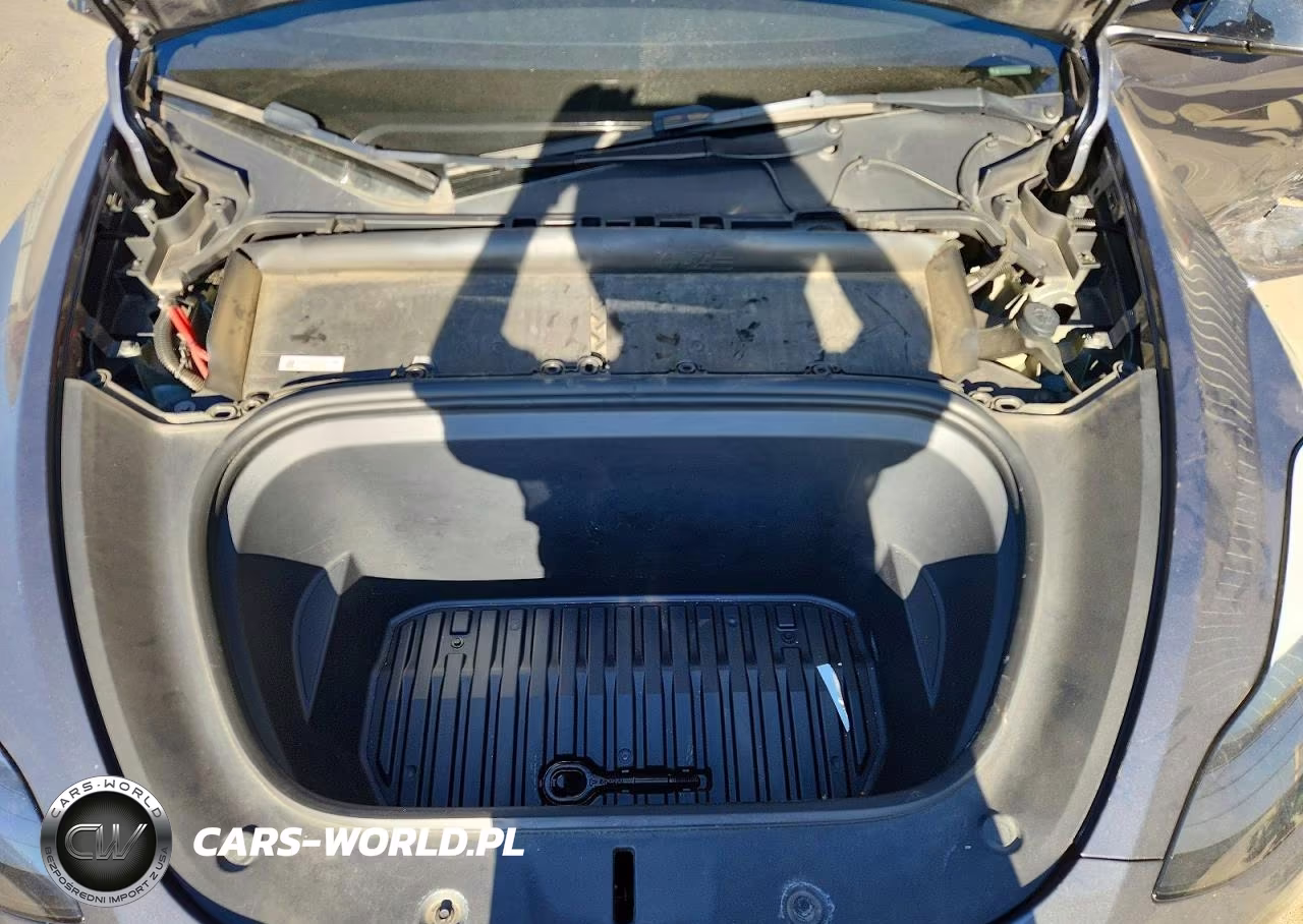2023 Tesla Model Y VIN:7SAYGDEE8PA163162 - 11