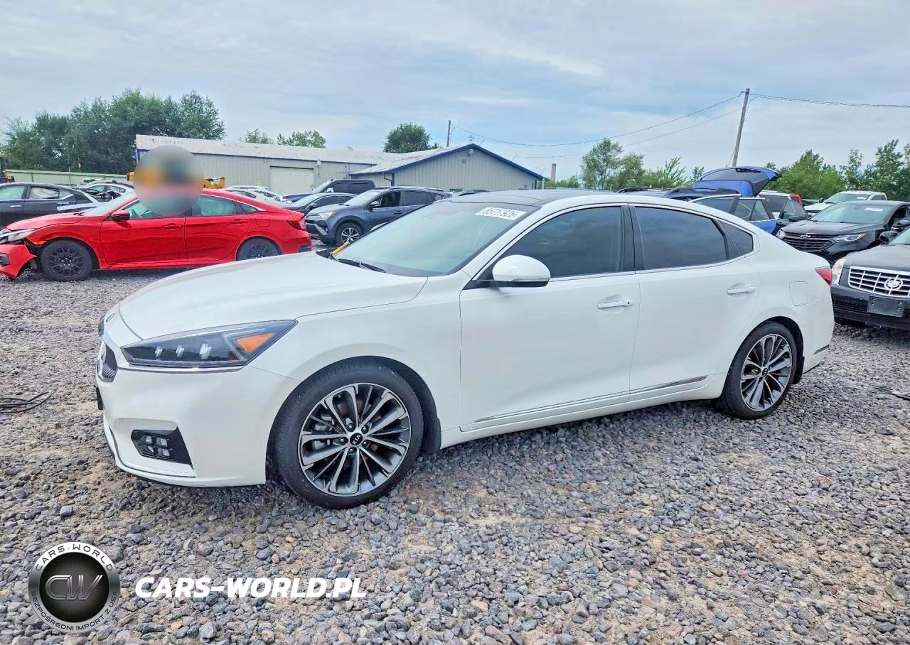 2019 Kia Cadenza Technology