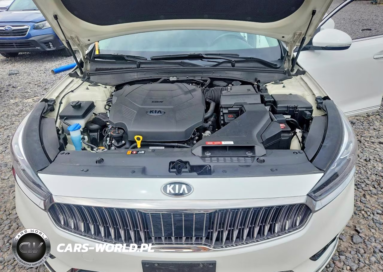 2019 Kia Cadenza Technology VIN:KNALC4J16K5171292 - 11
