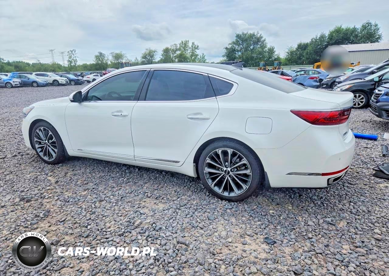 2019 Kia Cadenza Technology VIN:KNALC4J16K5171292 - 2