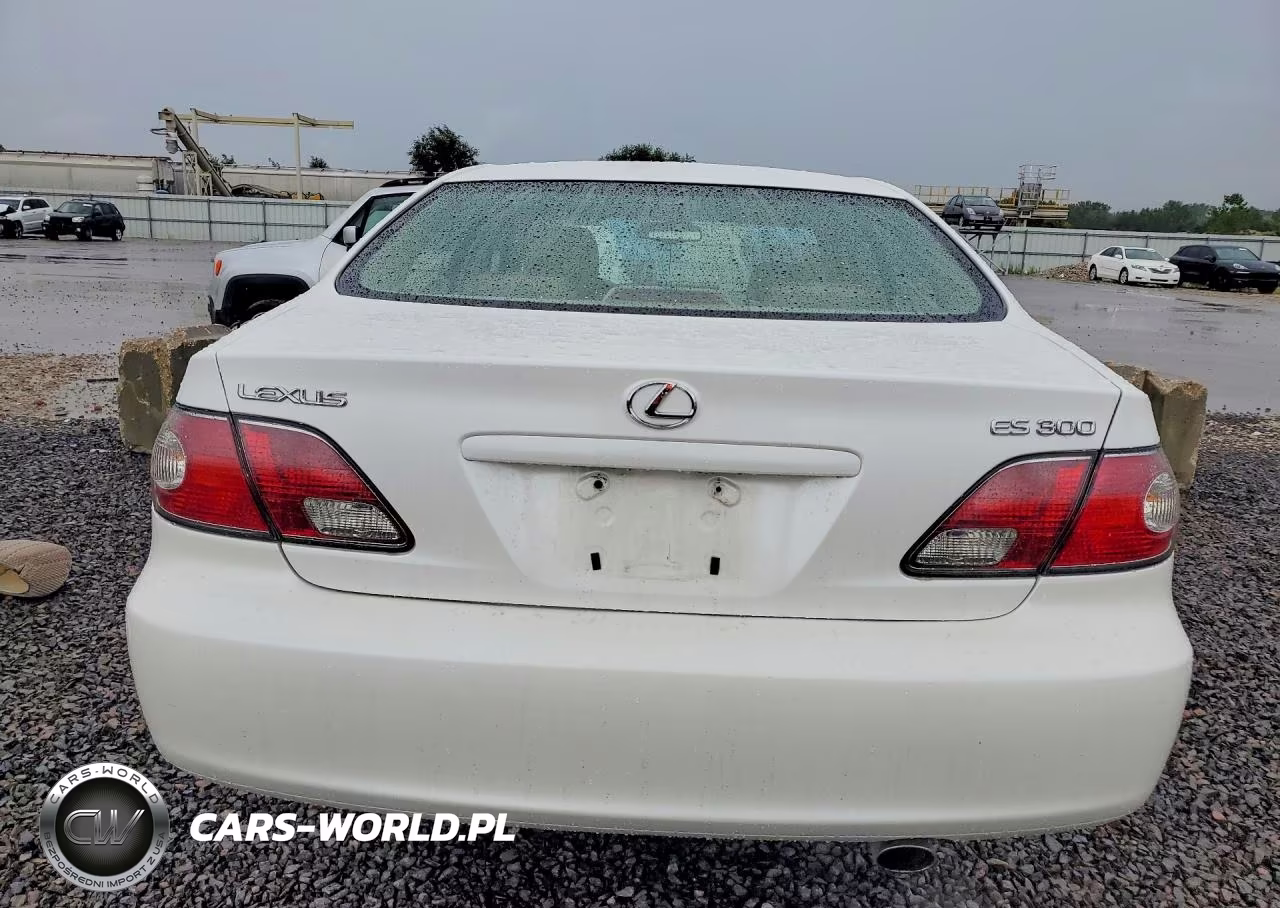 2002 Lexus Es 300 VIN:JTHBF30G820084270 - 6