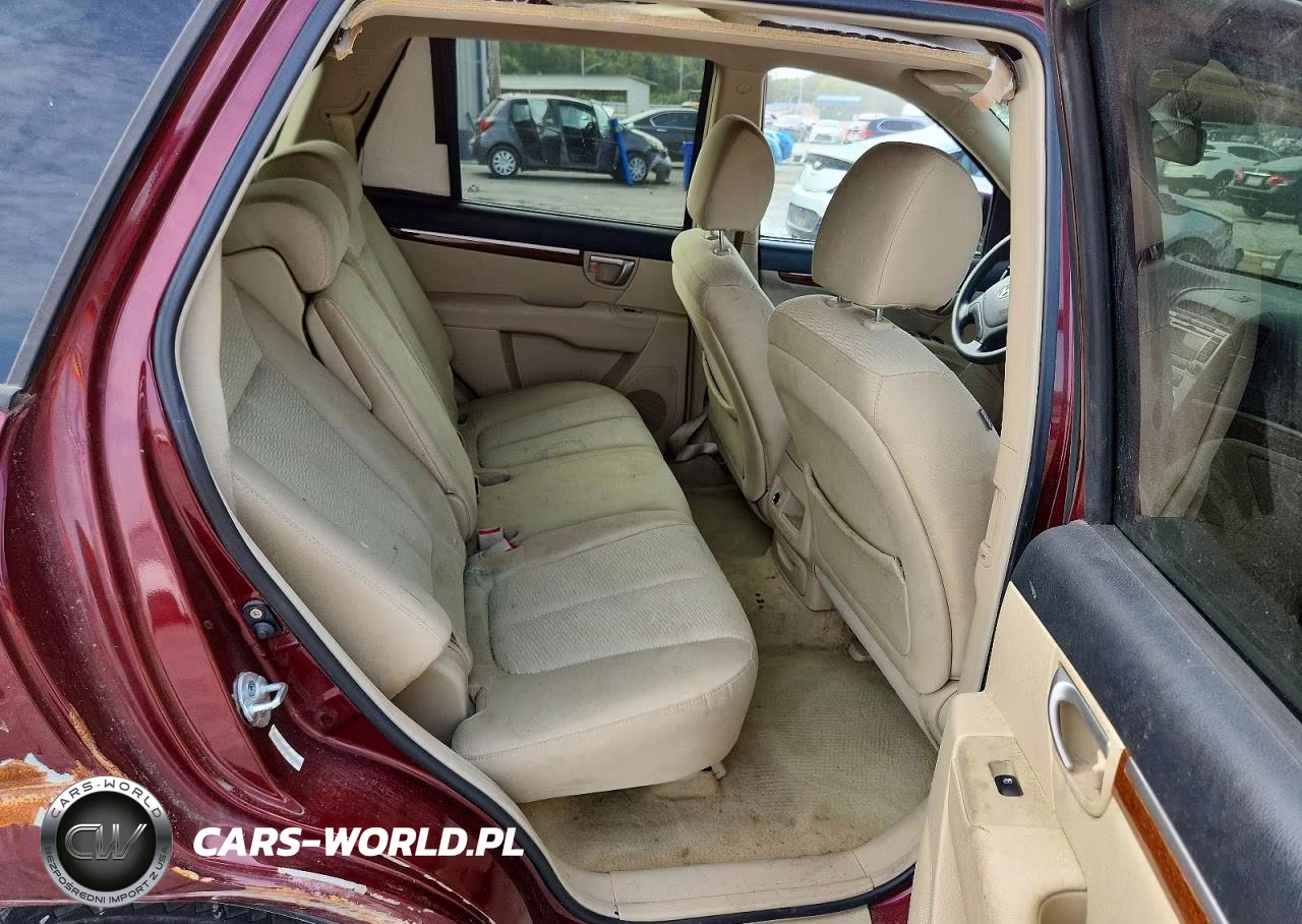 2009 Hyundai Santa Fe Gls VIN:5NMSG13D69H296115 - 11